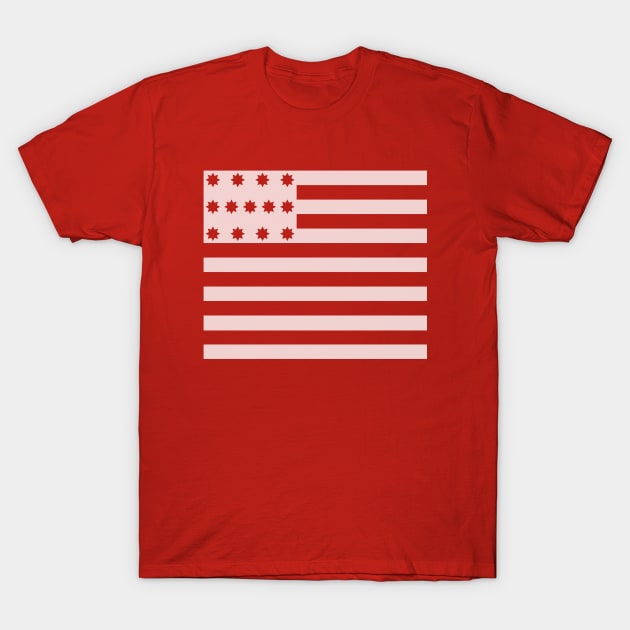 Brandywine Flag T-Shirt by Aaron Goins